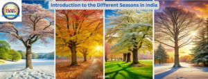 Introduction to the Different Seasons in India